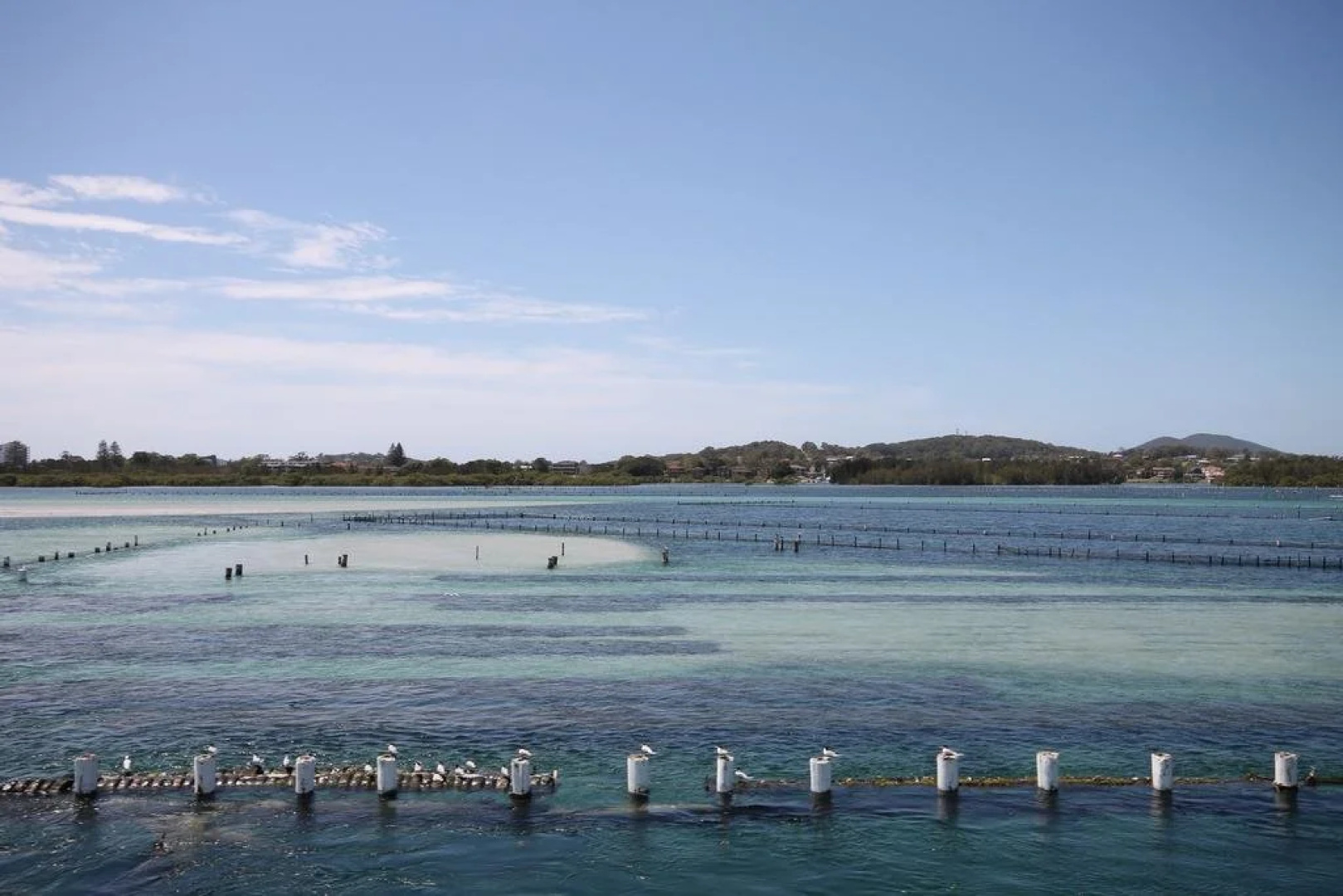 Chill-Out Lakeside @ Forster