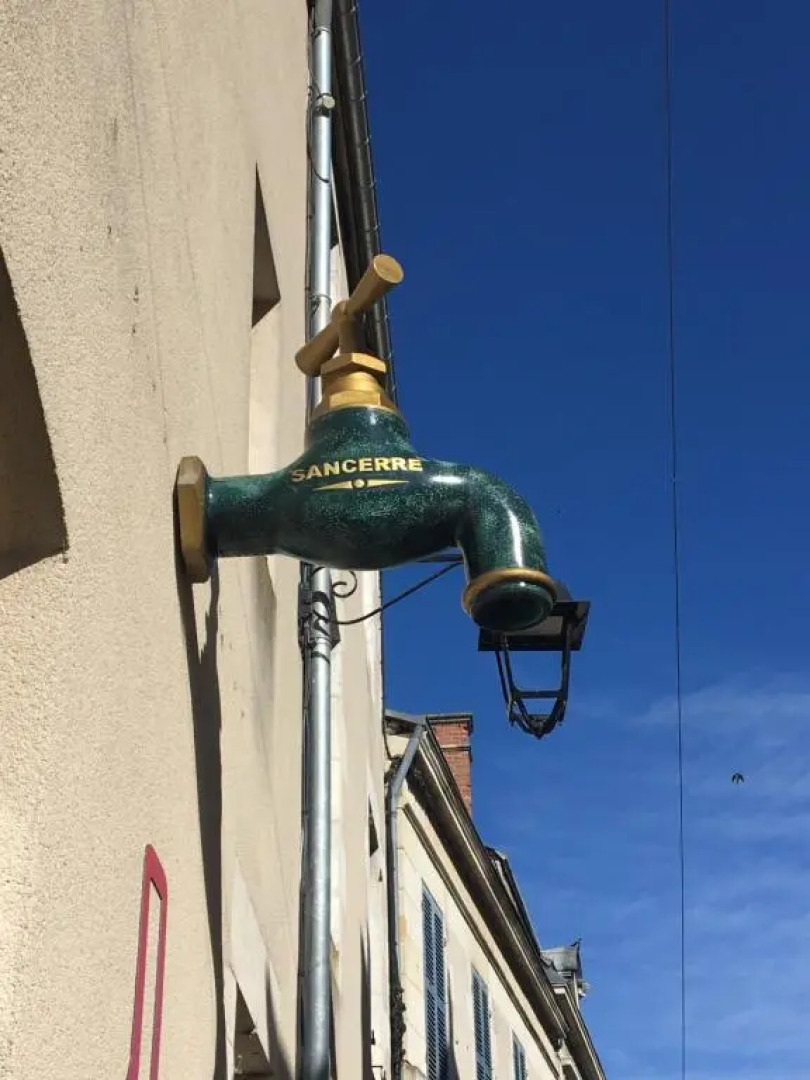 Sancerre Sunflower - Tournesol de Sancerre