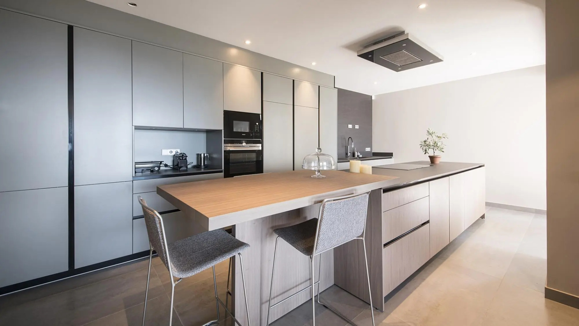 TH85-Limonium-9 in Tarragona