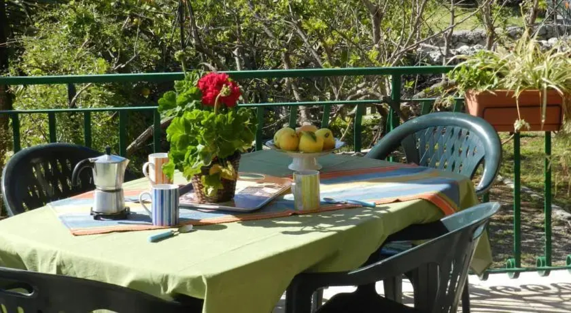 Azienda Agricola Santa Caterina