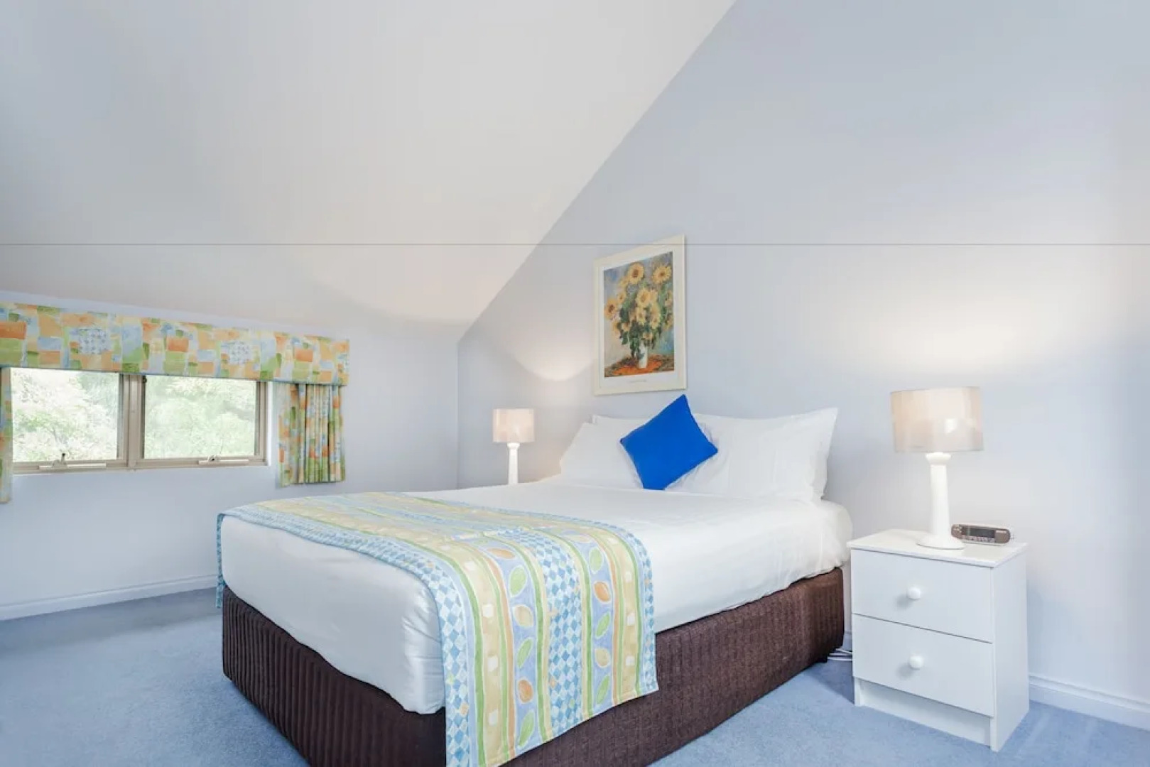 Banksia at Middleton