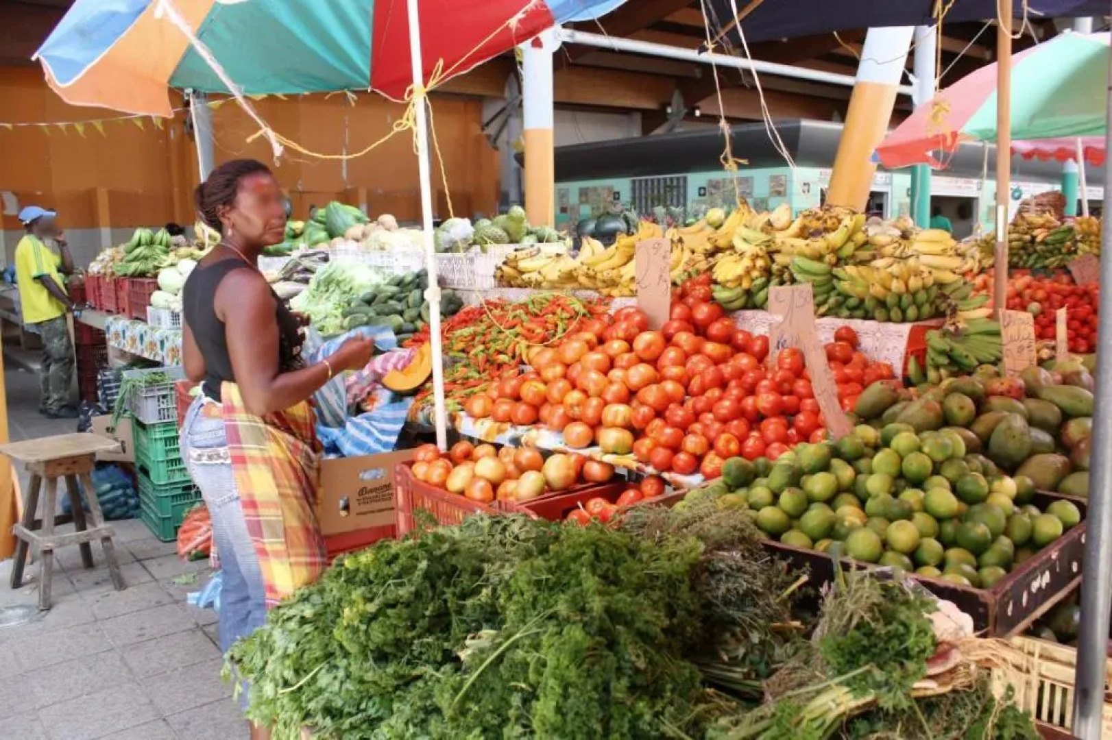 Chez Ena la fibre internet et le calme