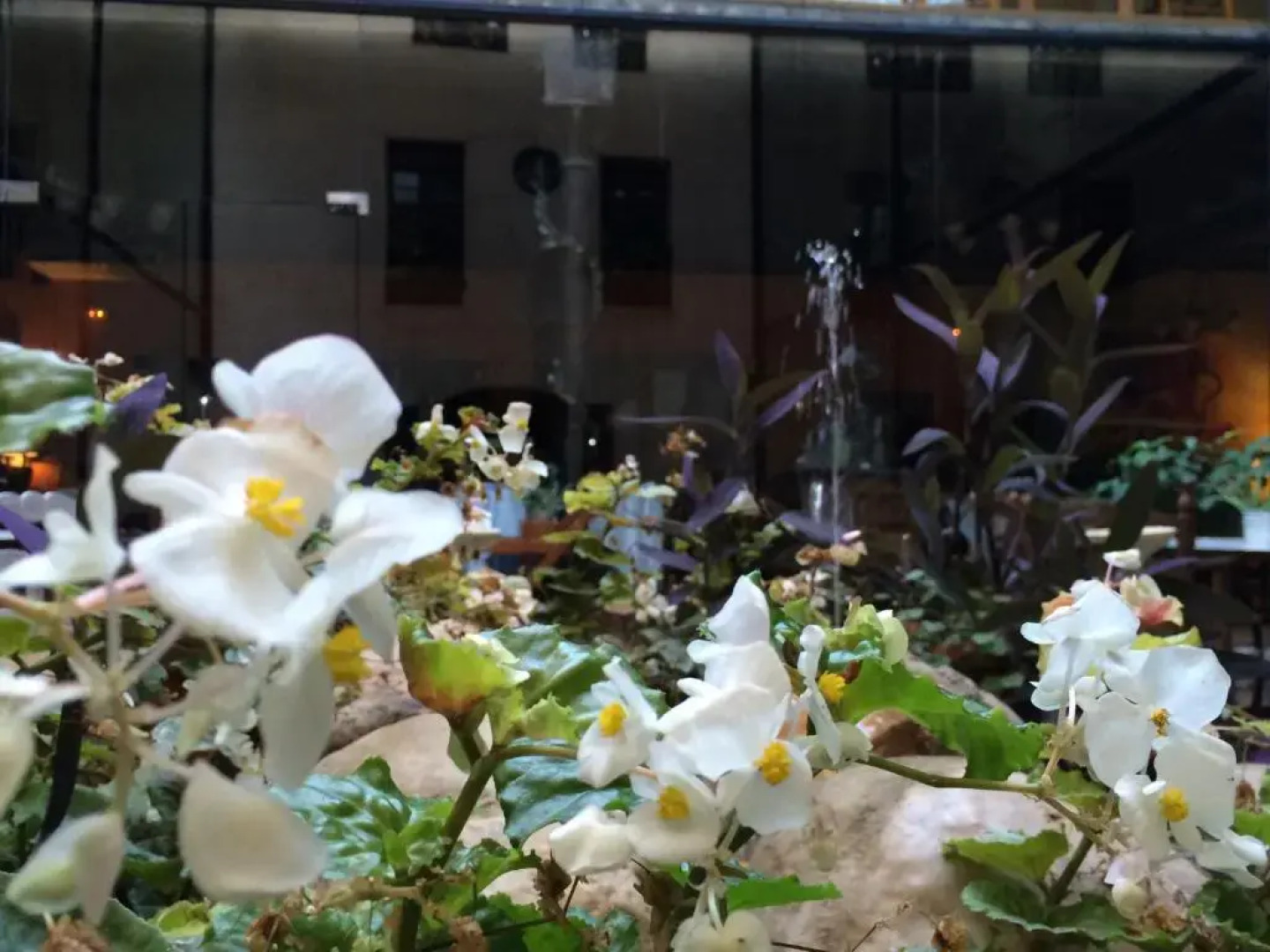 Hotel El Convent 1613