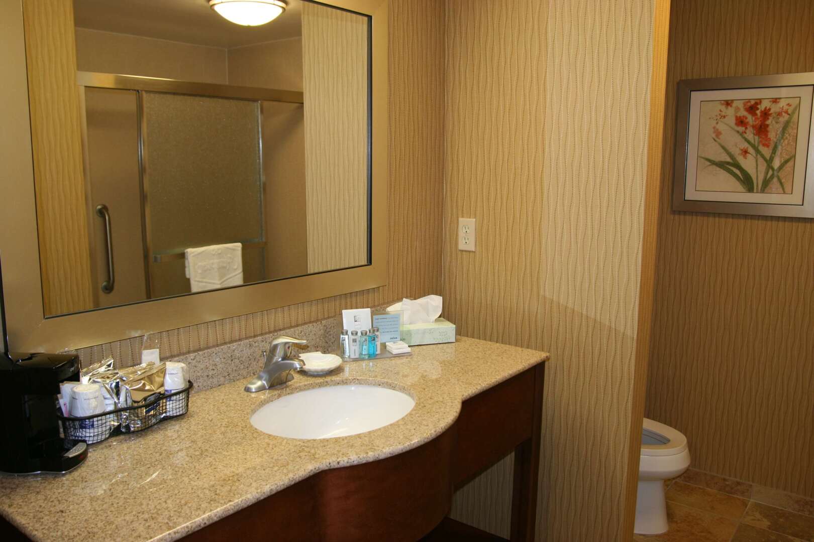 Hampton Inn & Suites Exmore - Eastern Shore