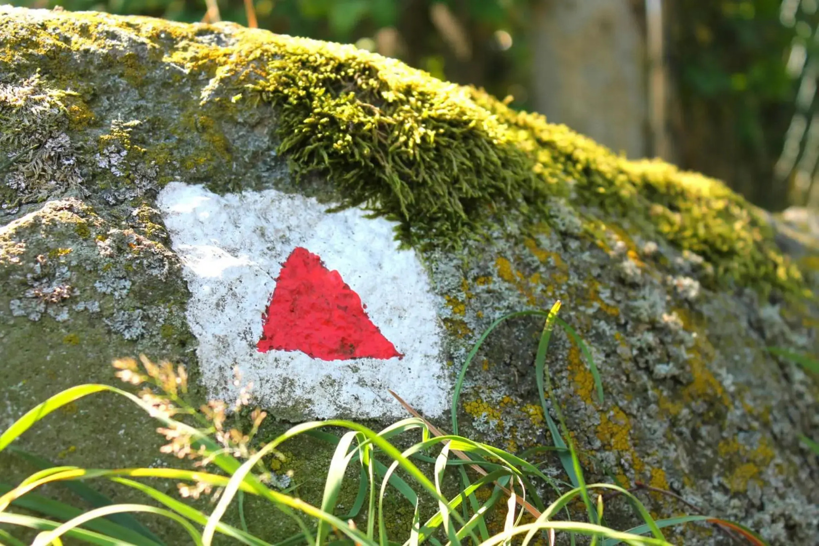 Flair Hotel Waldfrieden