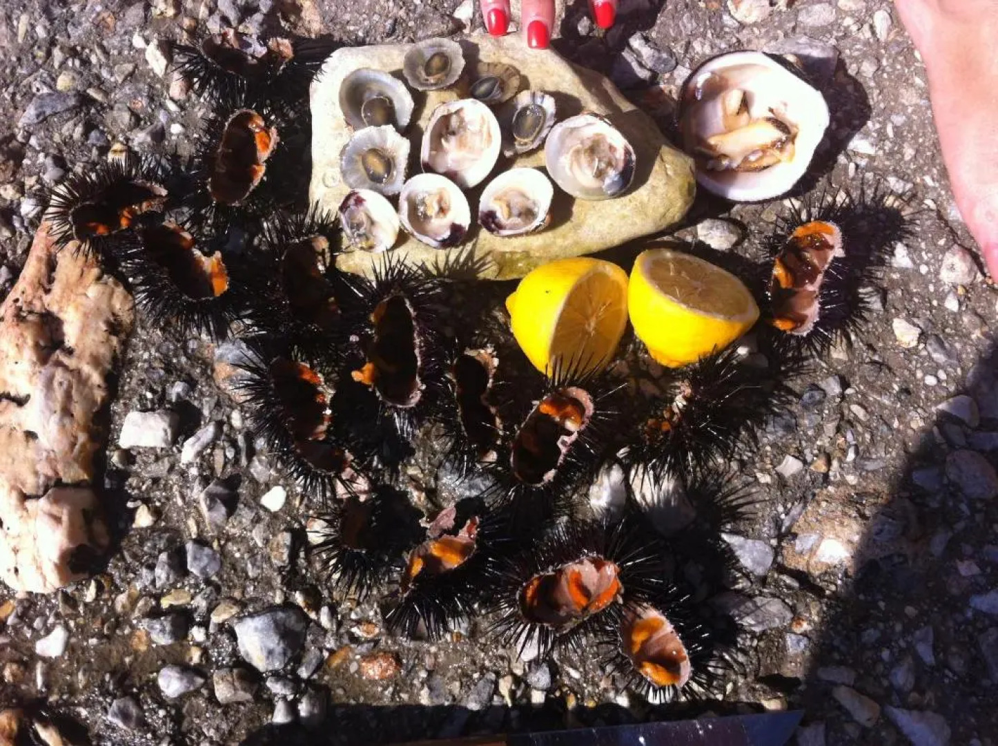 Spacious Sea Front Apartment - Porto Bouffalo - Evia