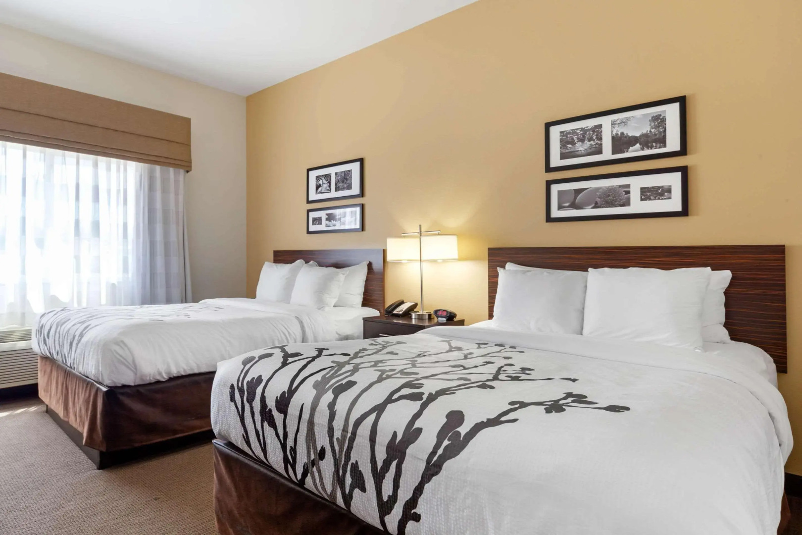 Sleep Inn & Suites Bismarck I-94