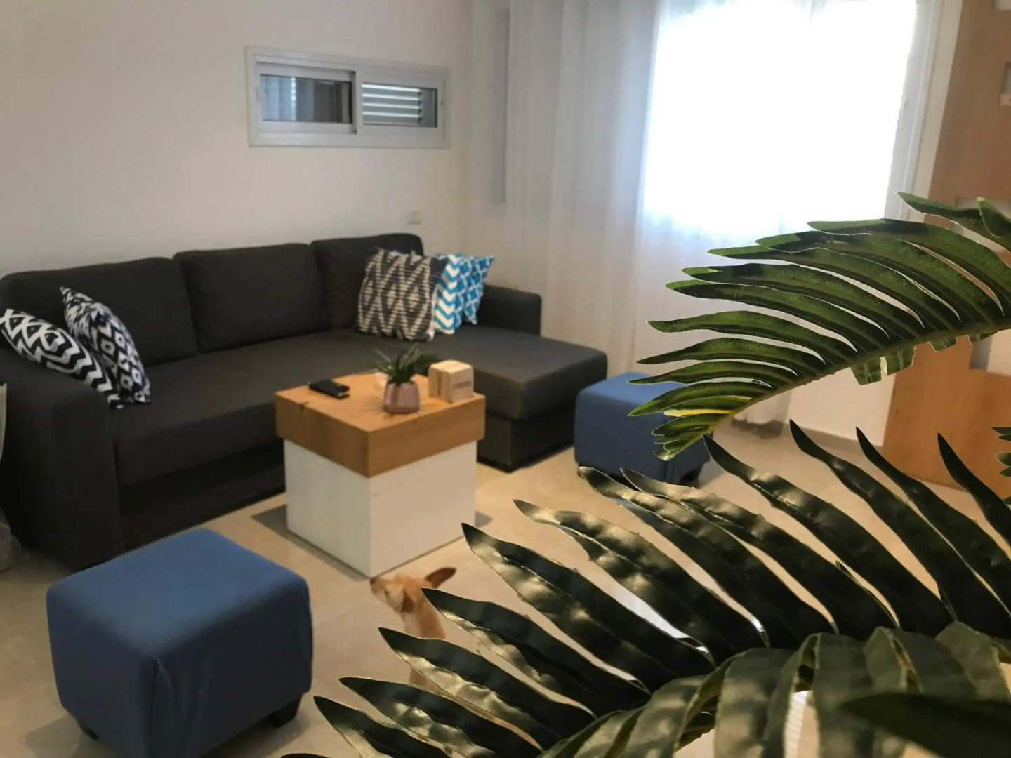 QUEEN of the dead sea by CROWN