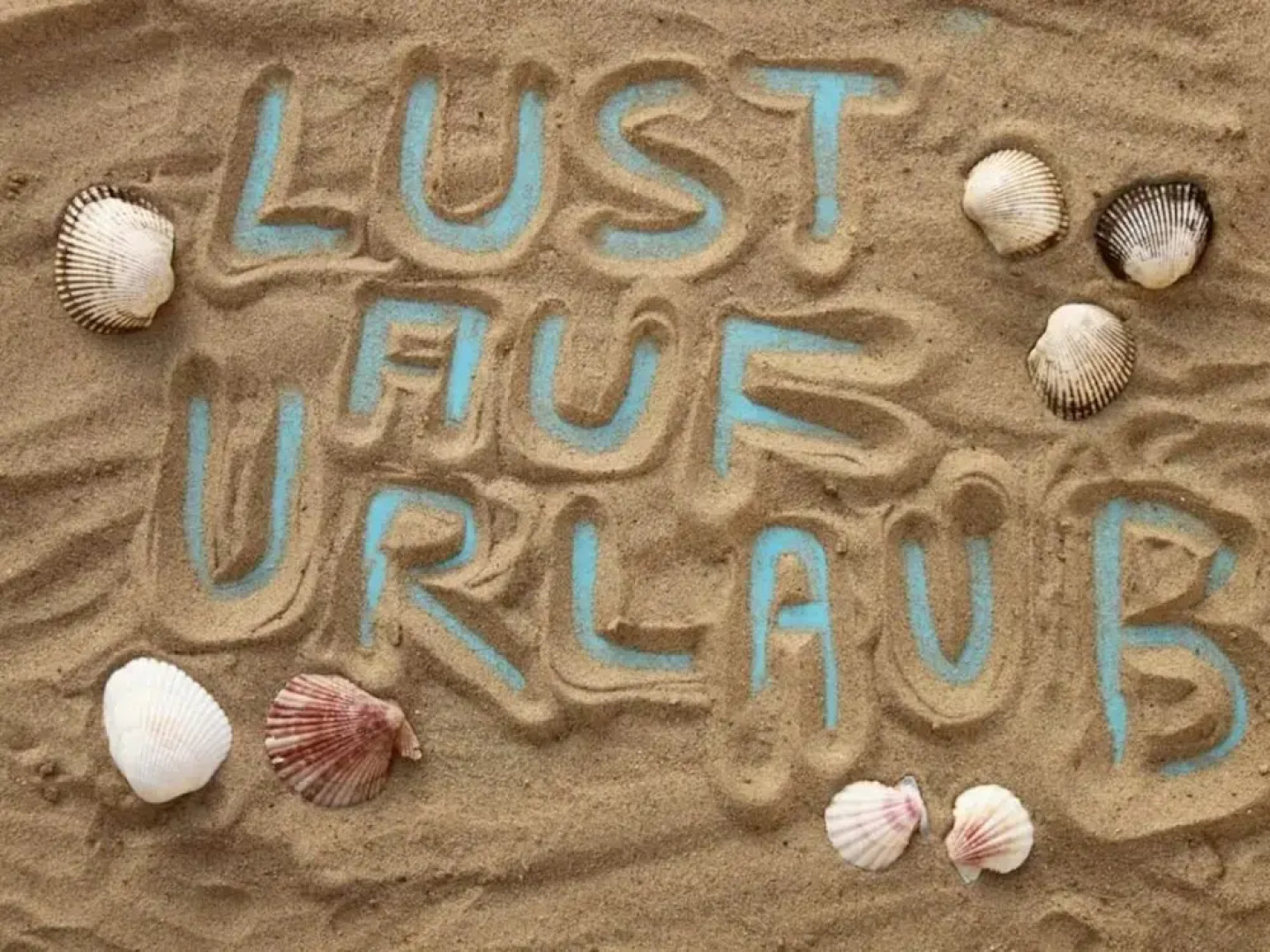 Hasennest Amrum Modern Retreat