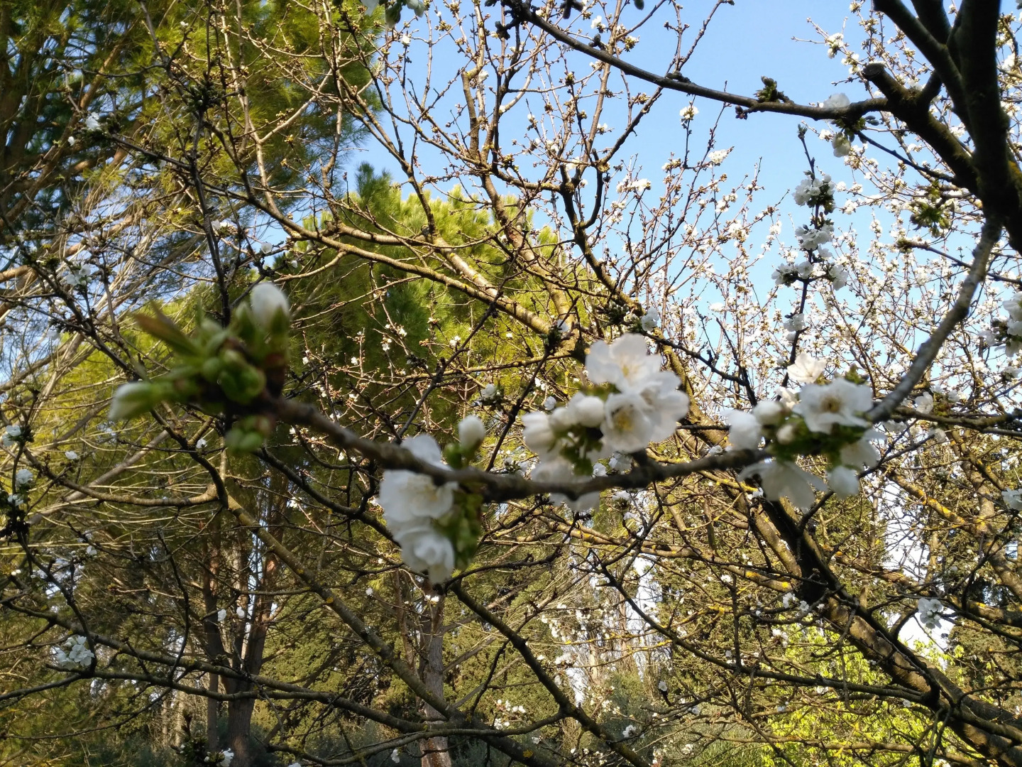 Le rêve D'Emma Chambres D'hôtes