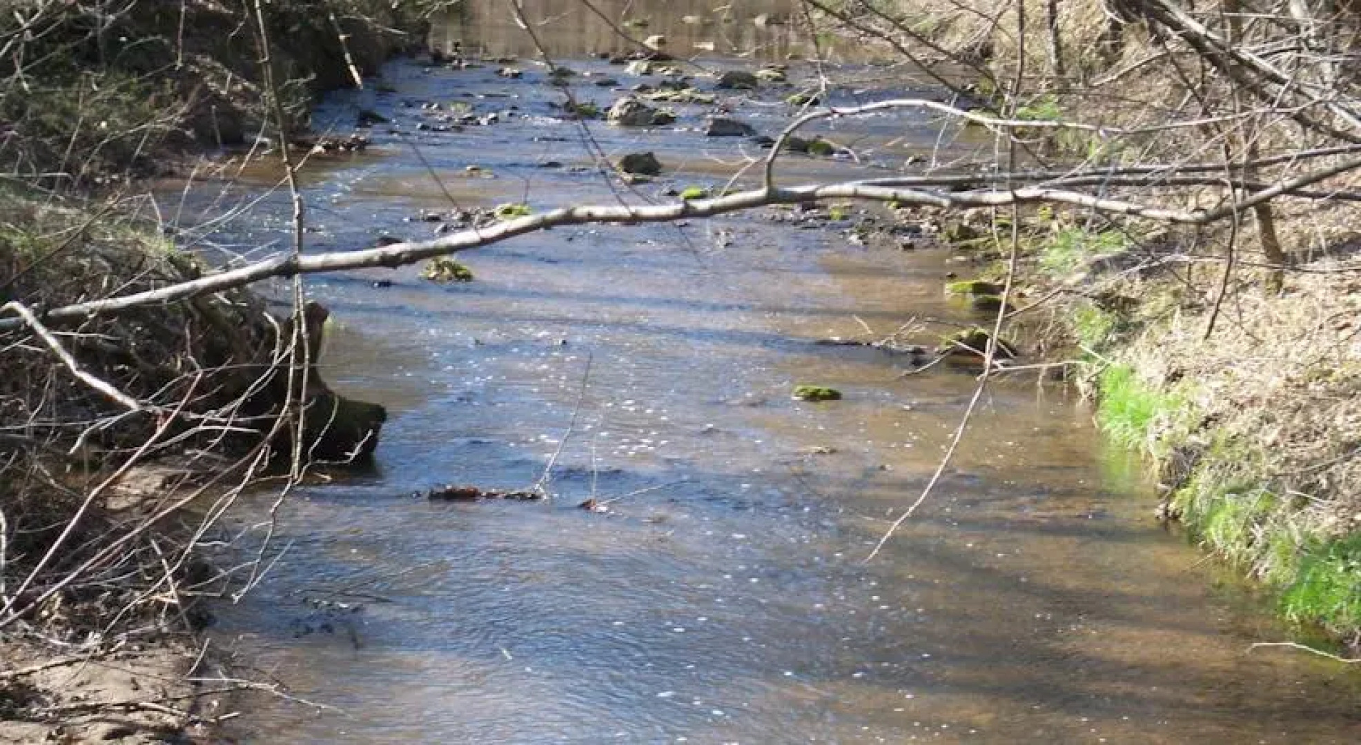 Our Private Paradise