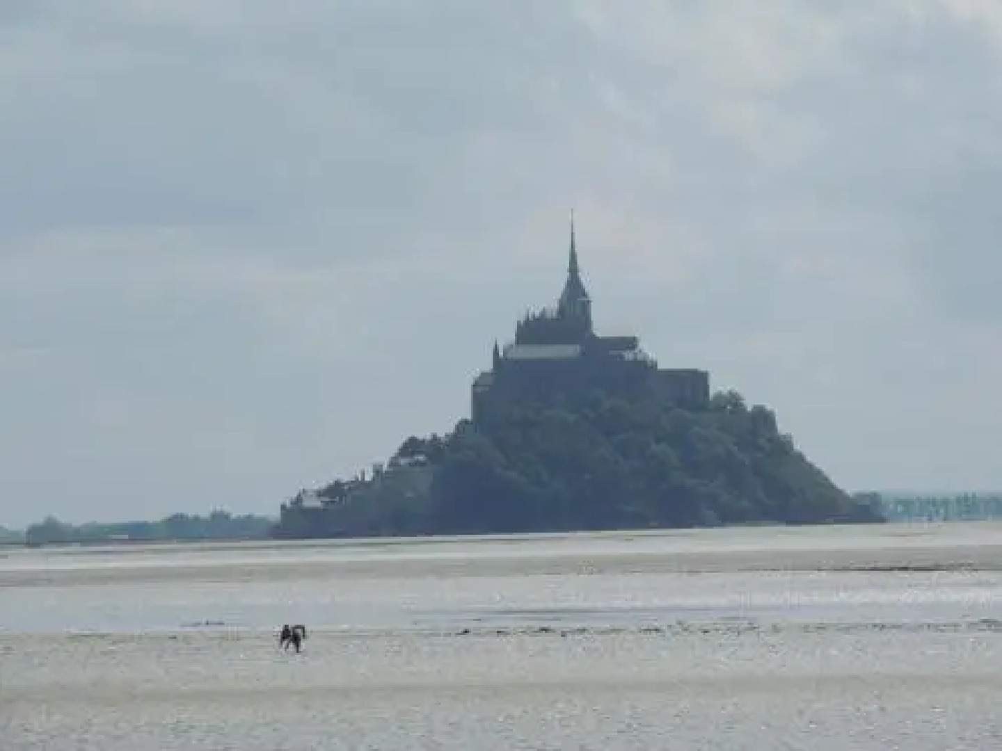 Aux Fleurs D'anemone