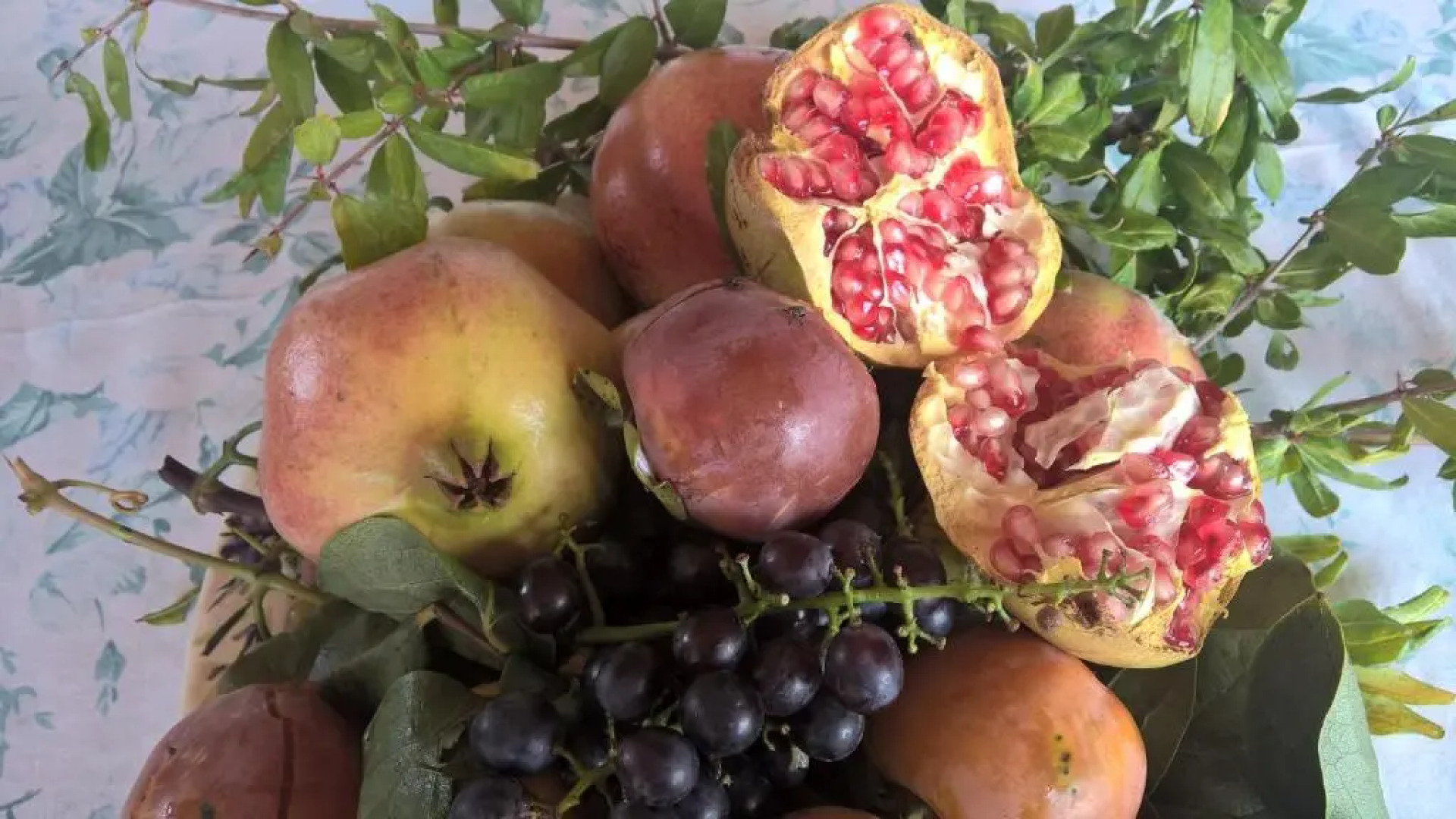 Bed and Breakfast Macchia d'Olmo