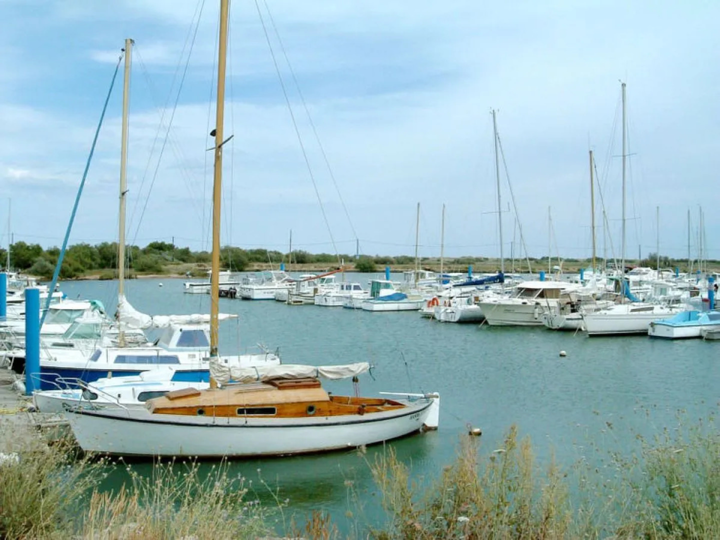 Domaine Les Mûriers (VED114)