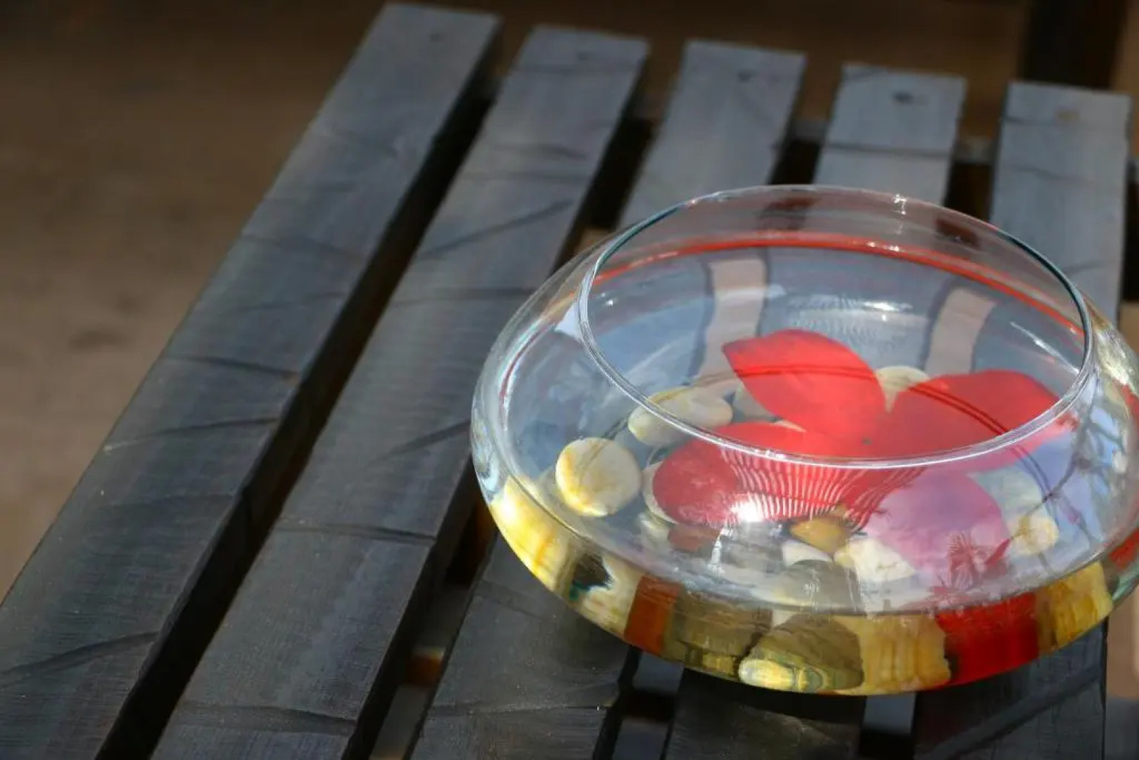 Posada del Cortes Hotel