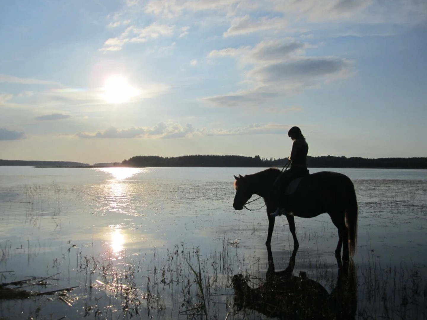 Holiday Resort Naaranlahti