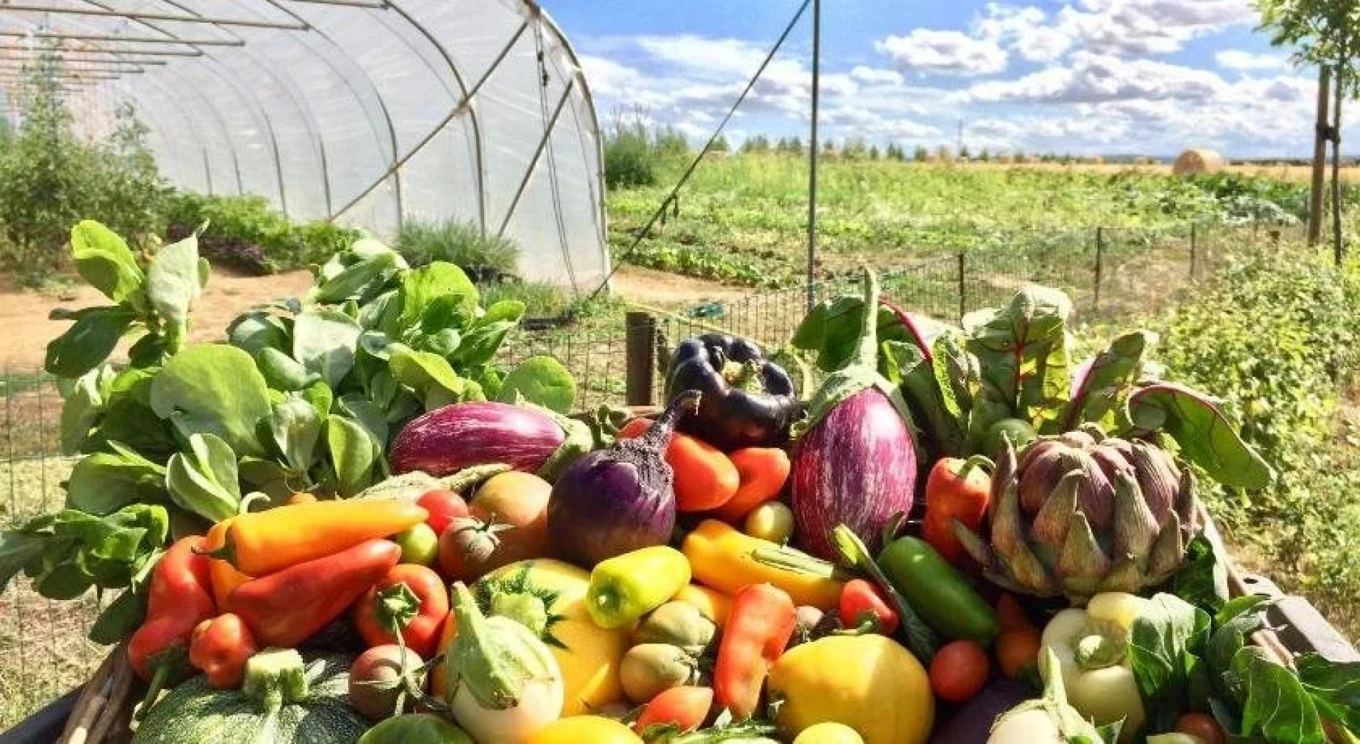 Domaine des Terres du Val