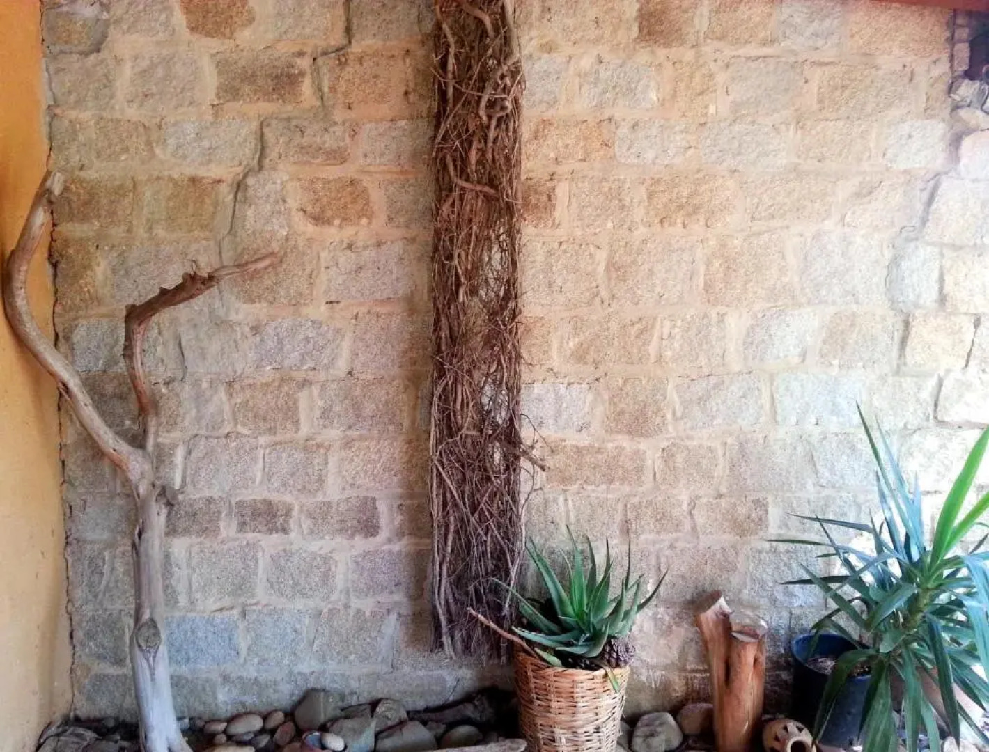 Mediterranean Garden Holiday Home