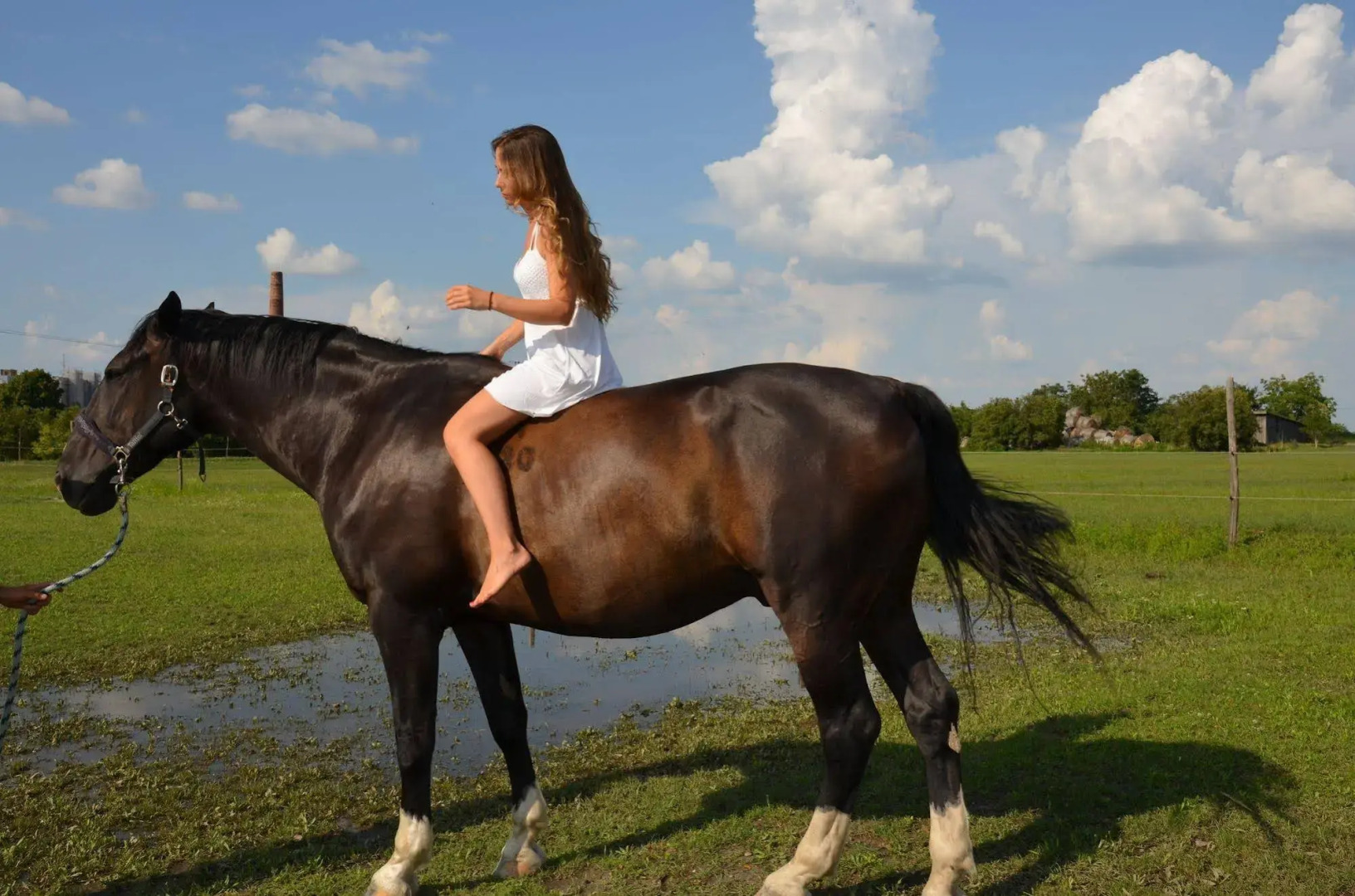 Hotel Plauter Kúria