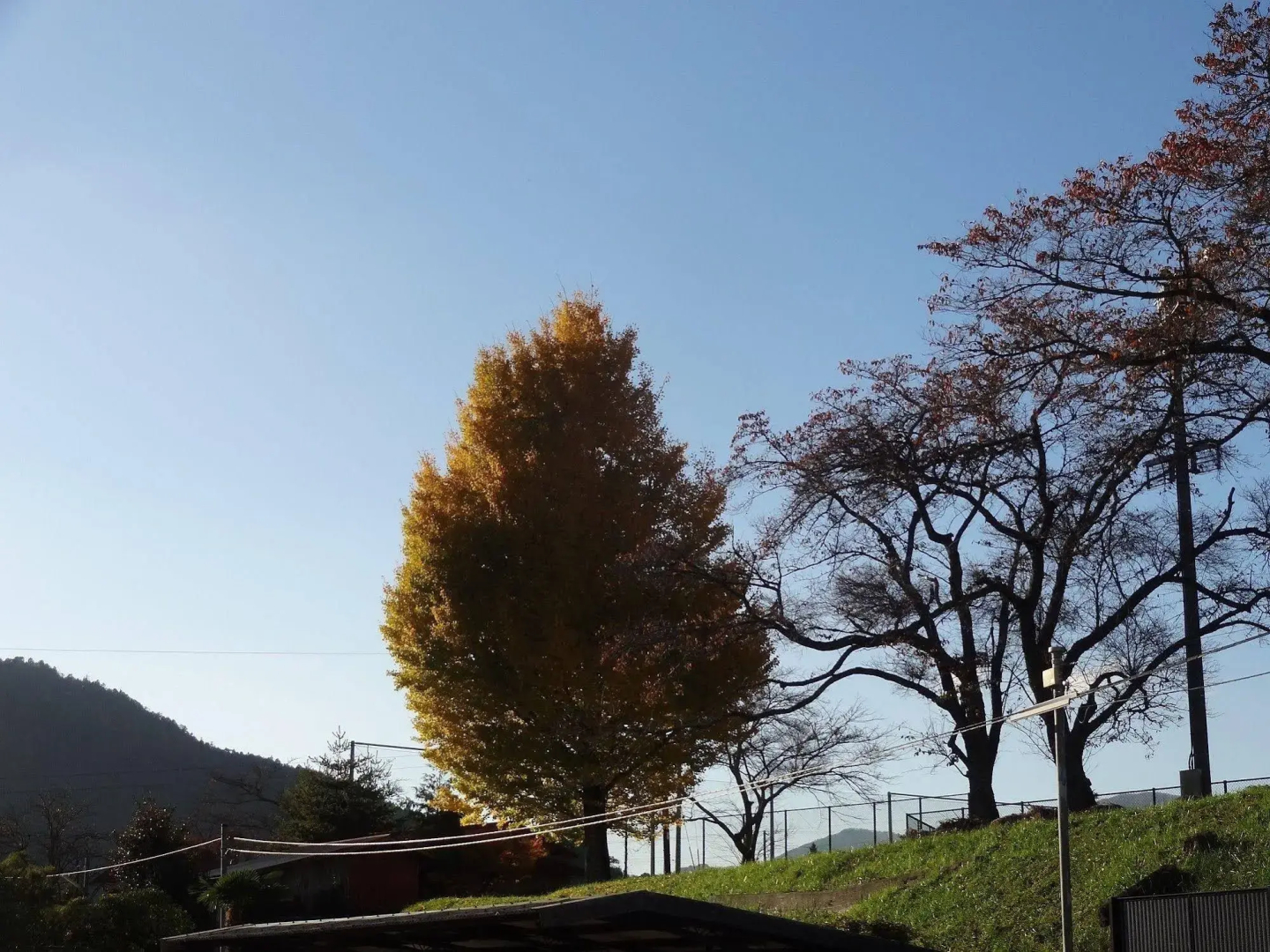 Miyama Futon & Breakfast
