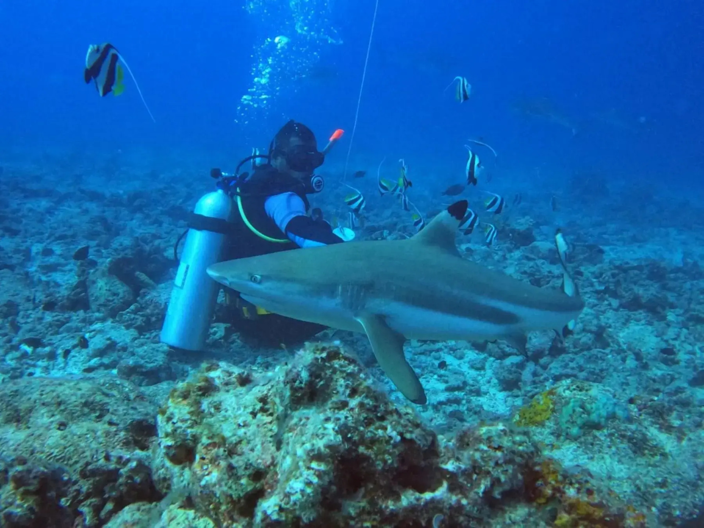 Ratu Kini Dive Resort