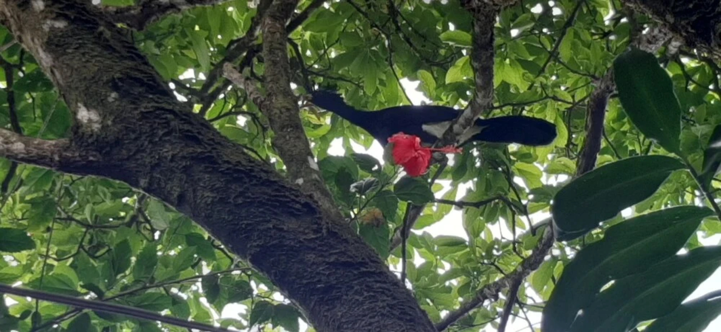 Jardín entre Montañas