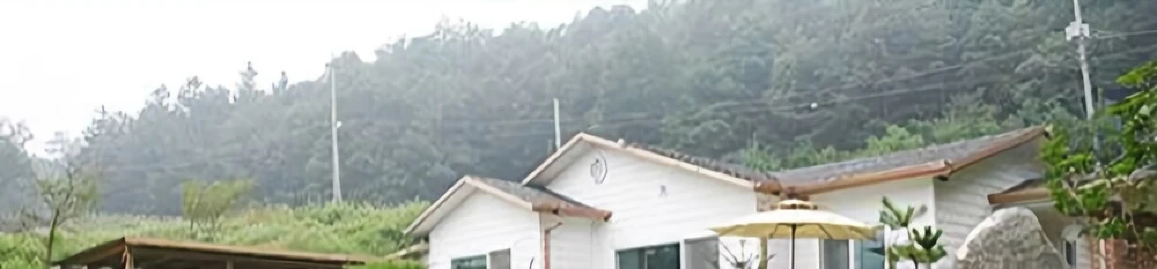 Yeoju Mineral Spring Pension