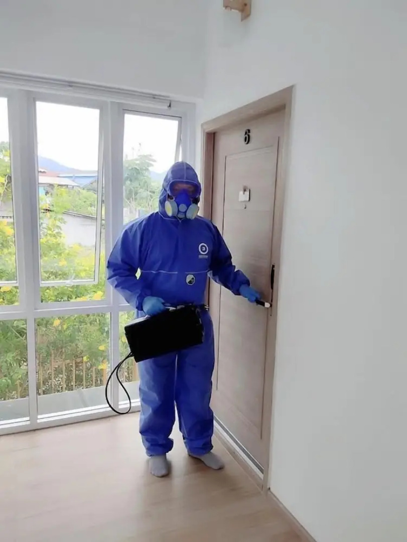 Nornnuea at Inthanon