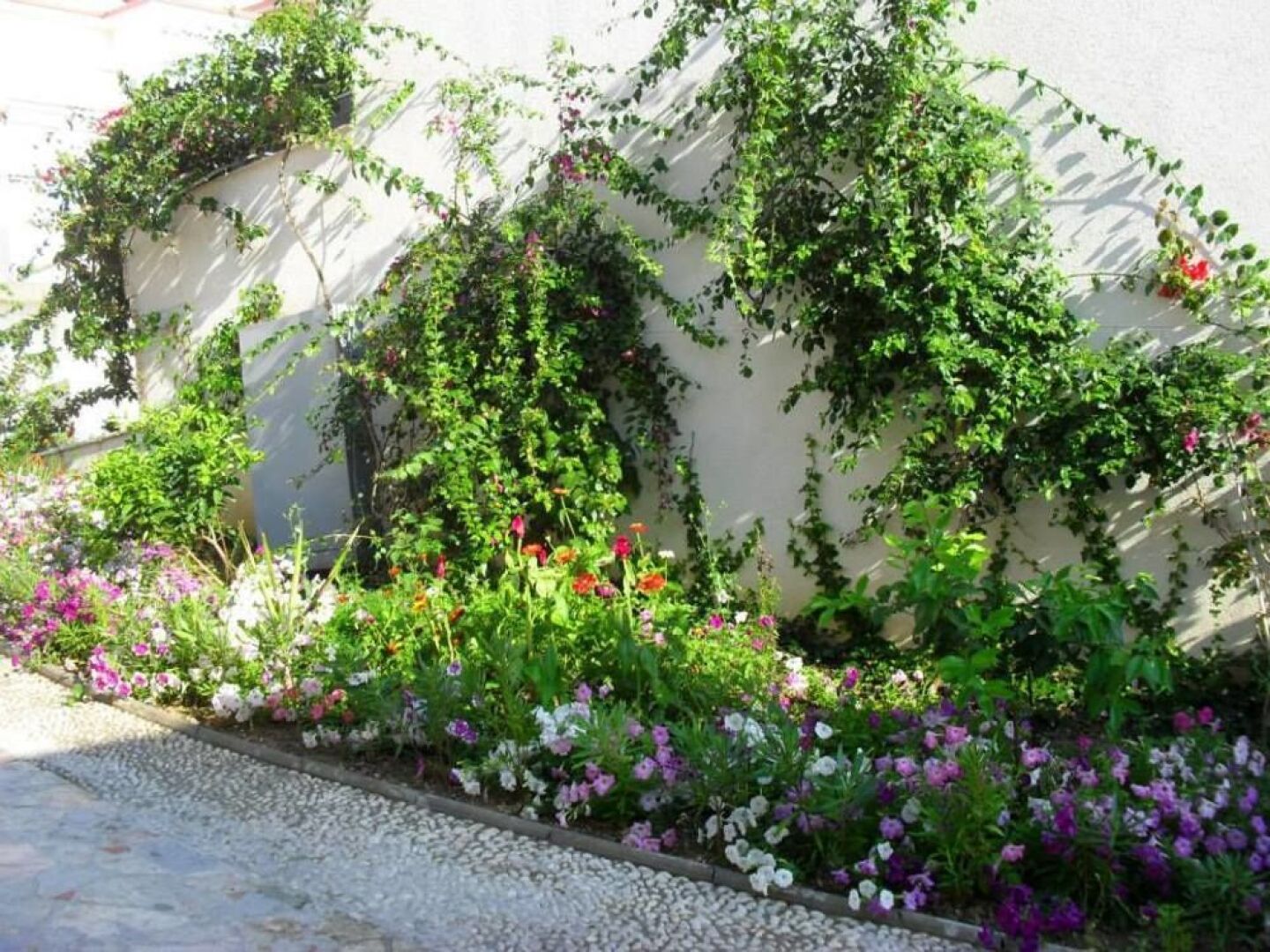 Bougainville Bay Serviced Apartments