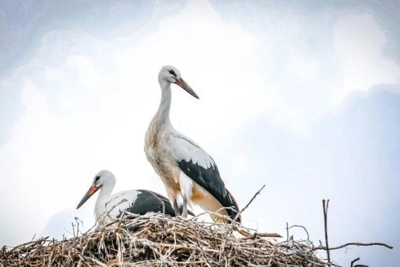 Holiday Home in Belczna Near Lake and Forests