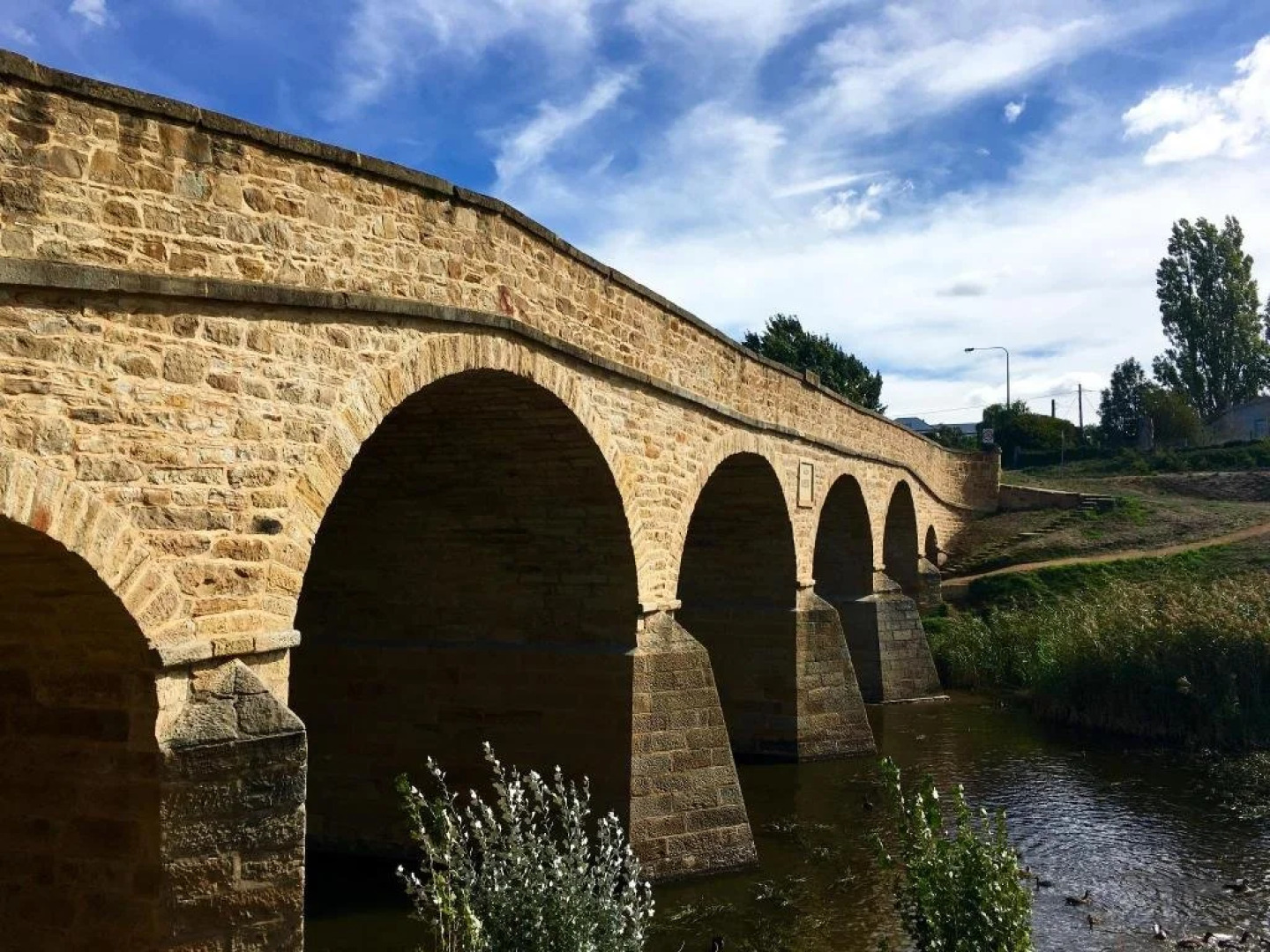 Every Man and His Dog Vineyard