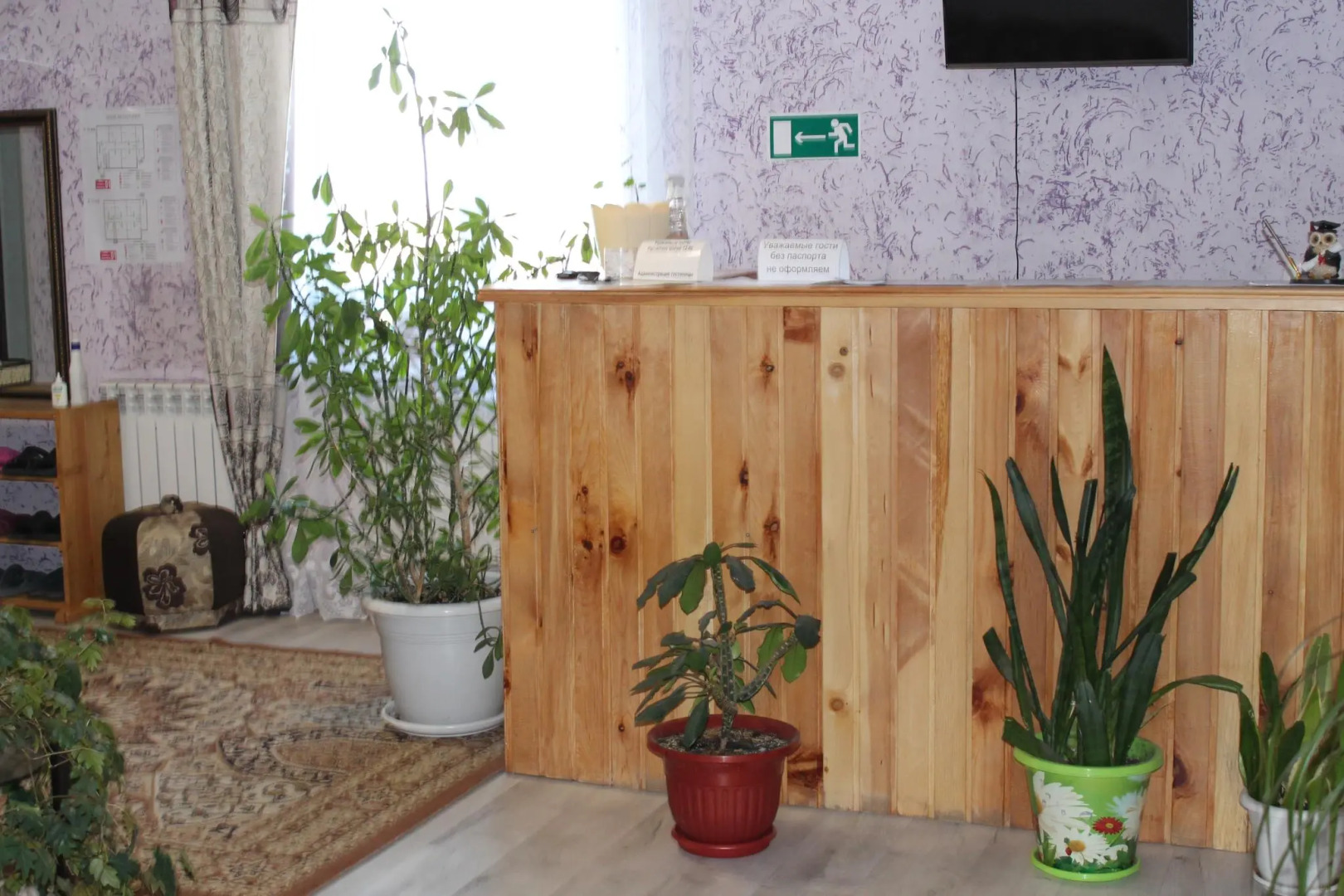 Роза ветров