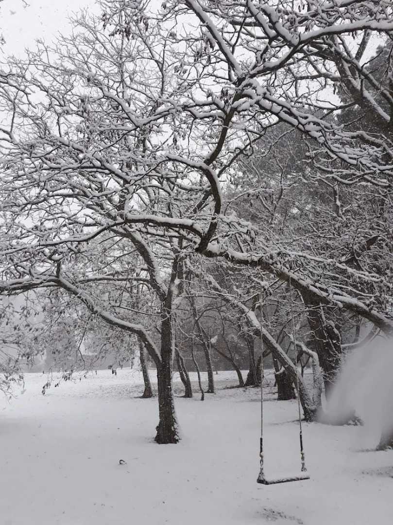 Seclusions Blue Mountains
