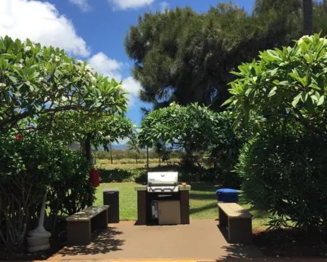 Kaha Lani Resort #224