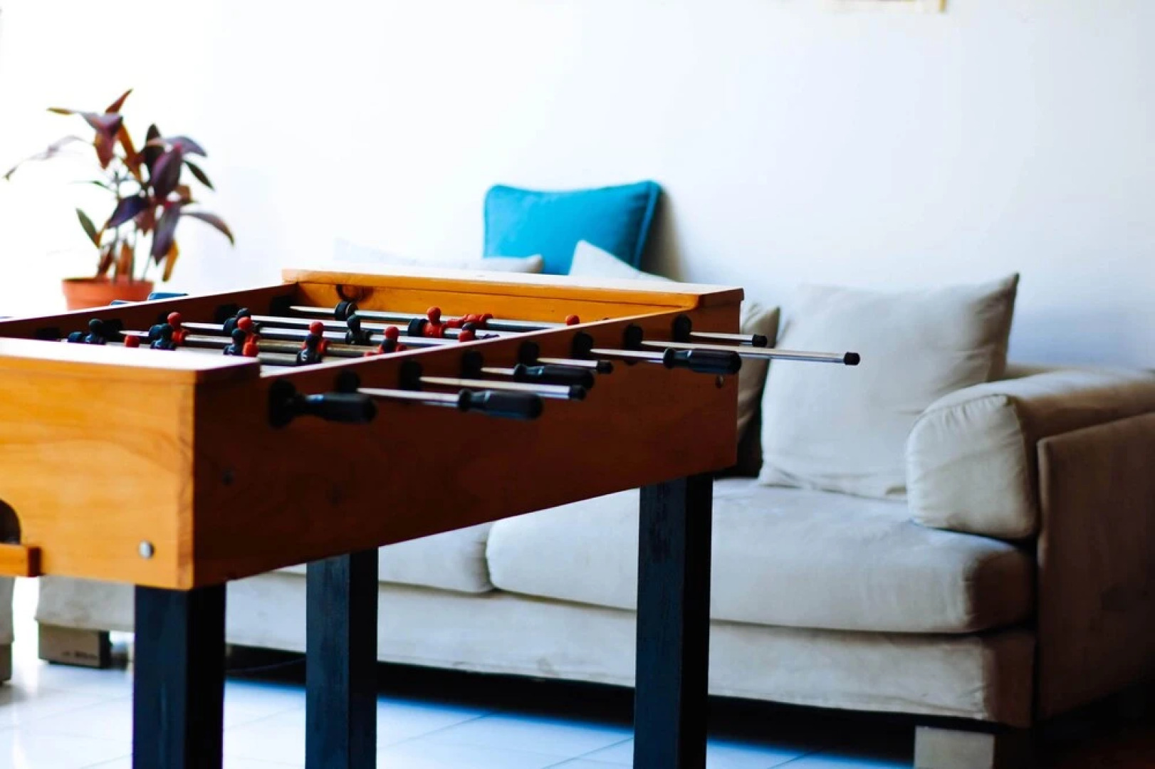 Casa Jardin del Mango