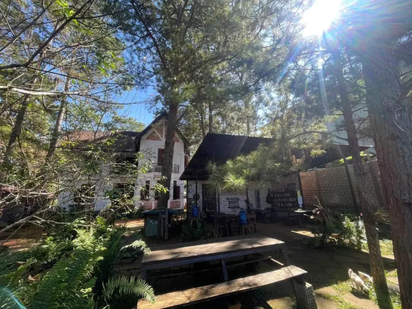 Chino Homestay Mang Den