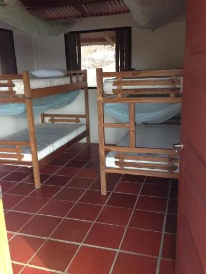 Jaguar Azul Palomino