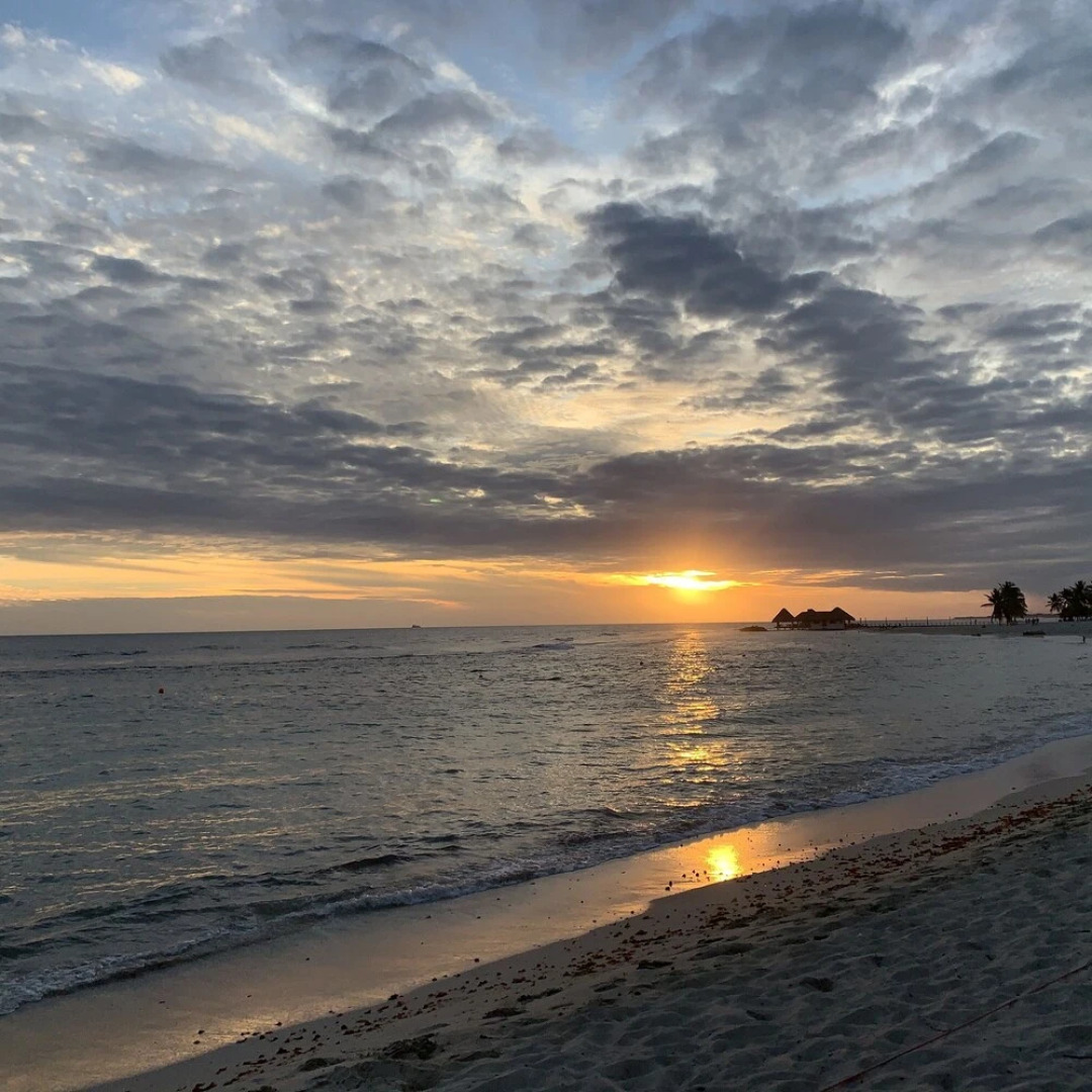Luxury Penthouse Portobello