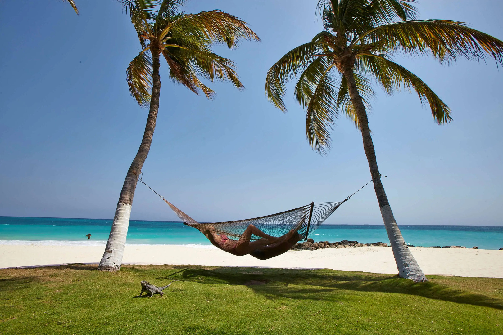 Divi Dutch Village Beach Resort