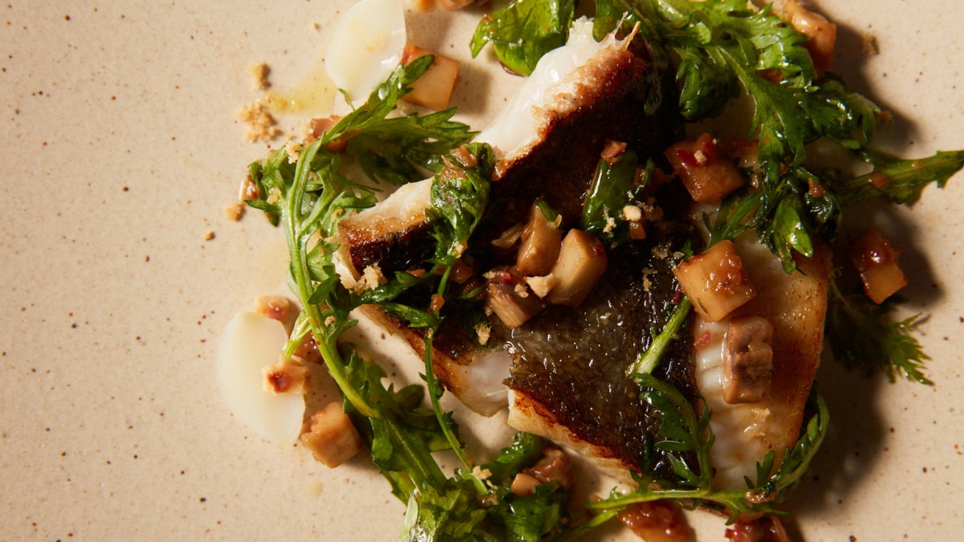 Rembrandt Premium Fuji Gotemba