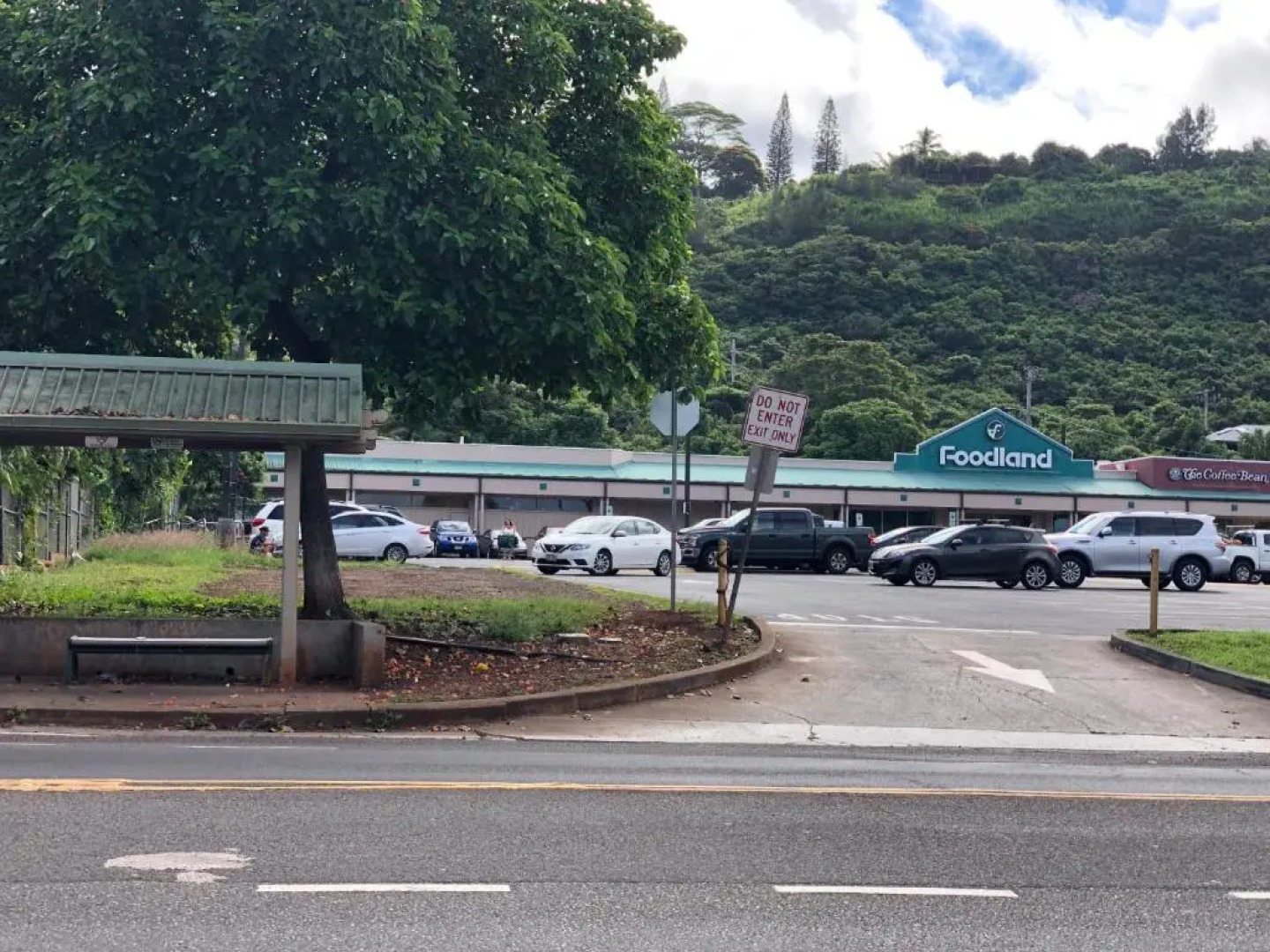 Beach Side Studio by Shark's Cove