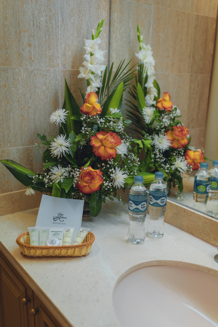 Hotel Jose Antonio Puno