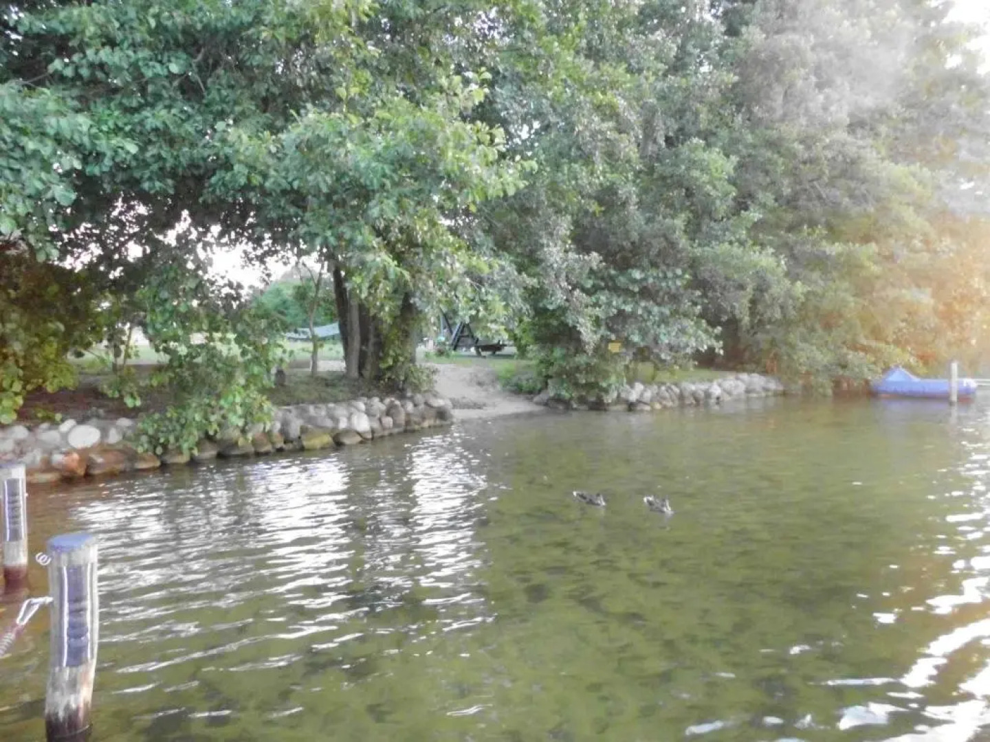 Wald&Wiesengeflüster Zechlinerhütte