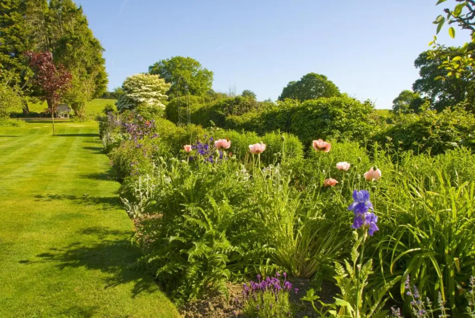 Cleavers Lyng - Guest house