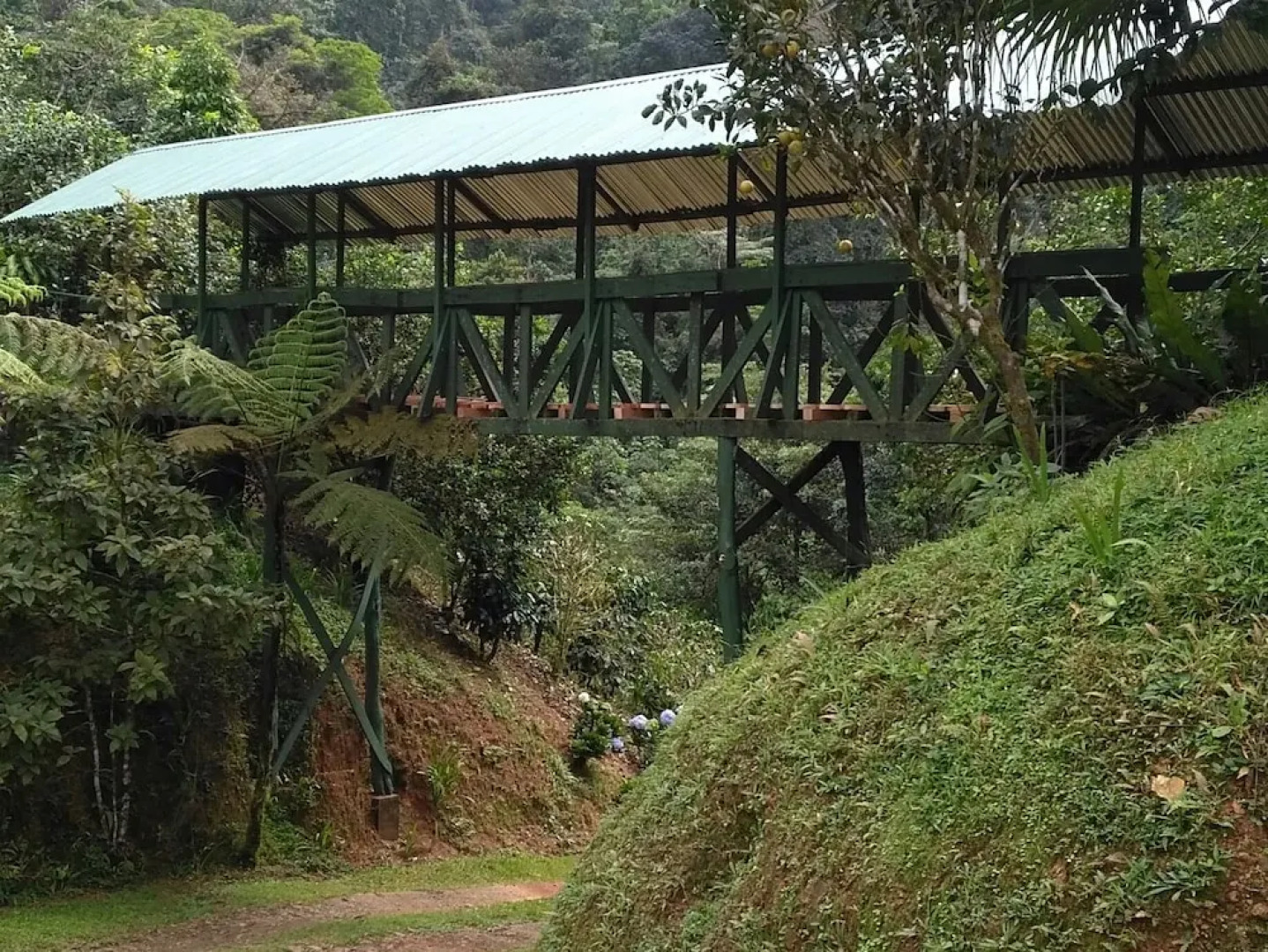 Rio Magnolia Nature Lodge