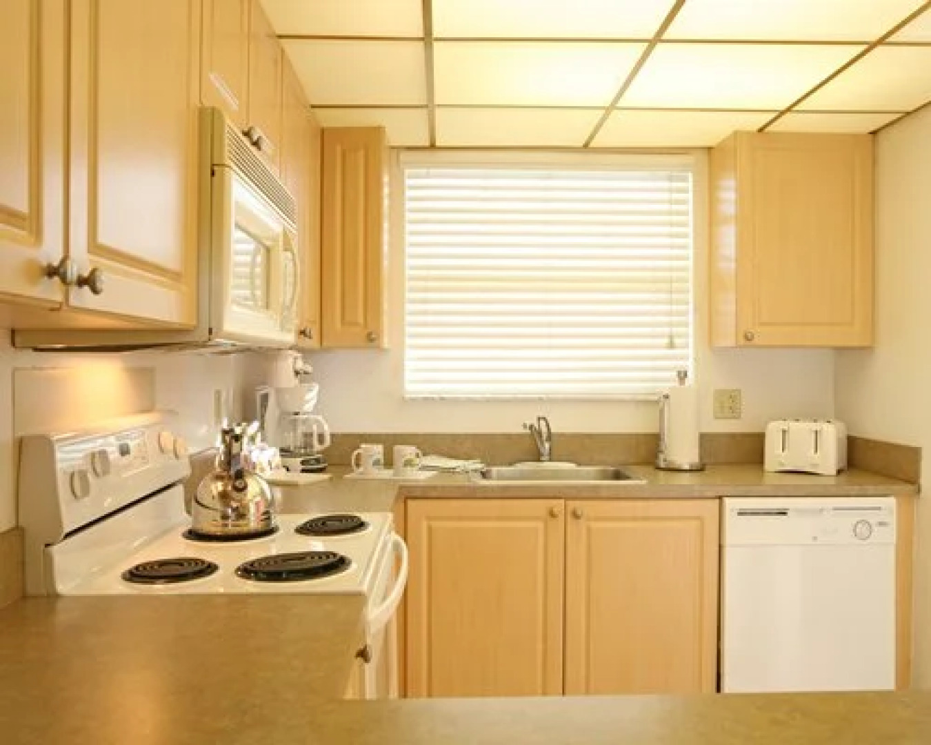 Geo Group at Turtle Reef, Jensen Beach, USA