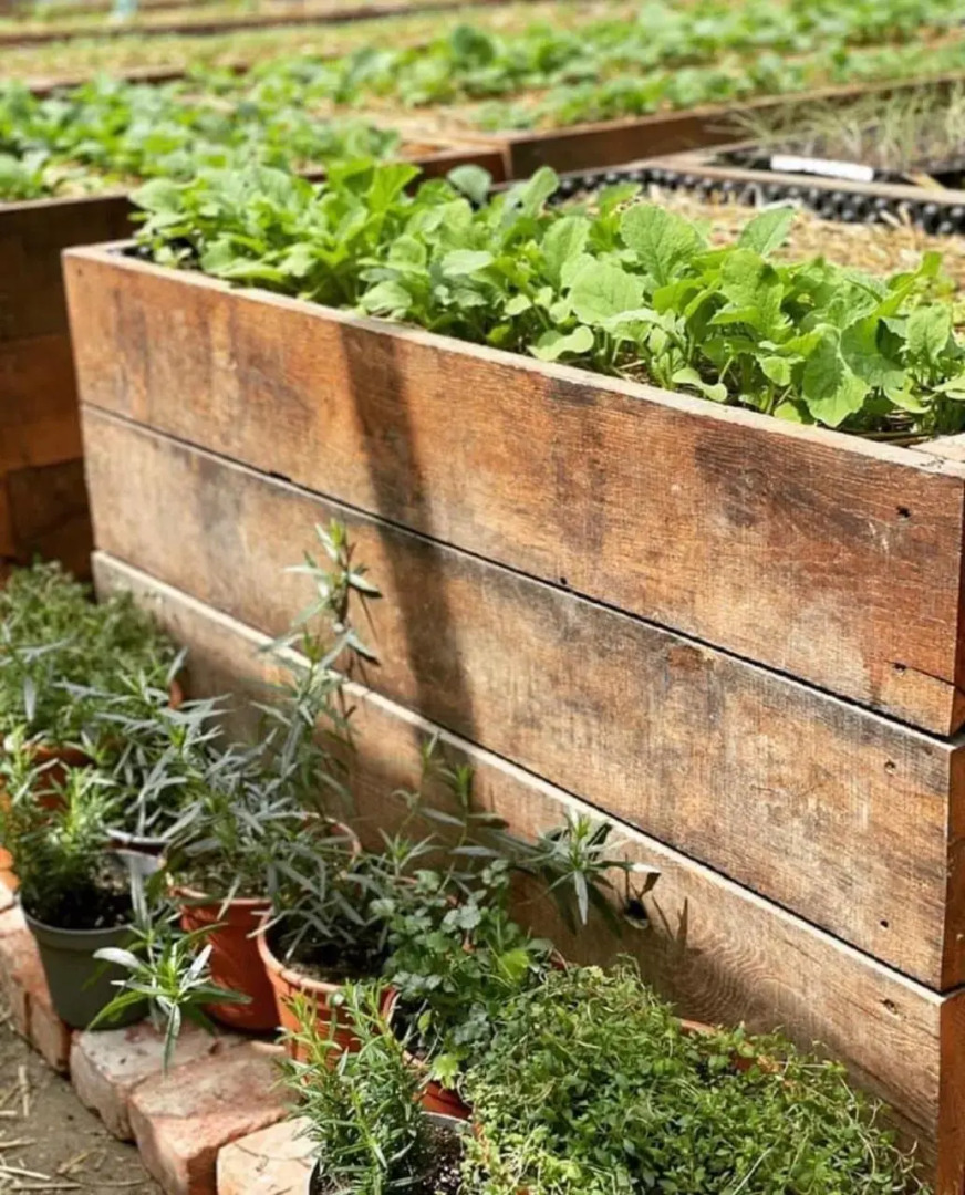 István Hotel&Étterem