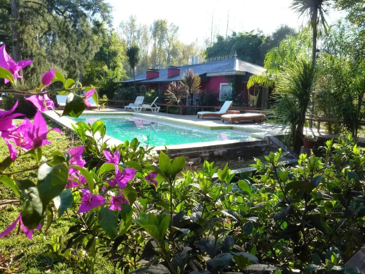 Las rosas 2