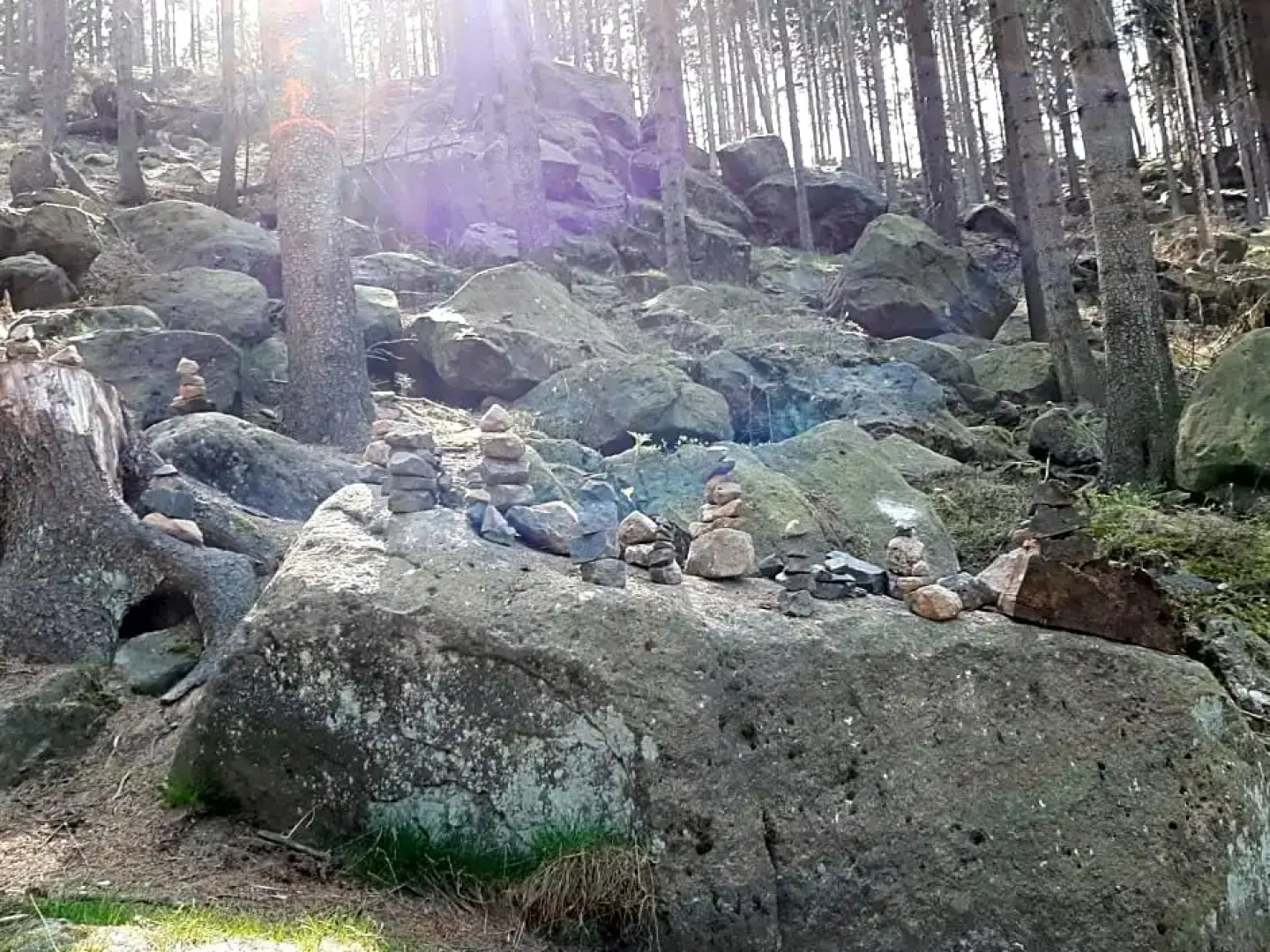 Hotel Zittauer Hütte