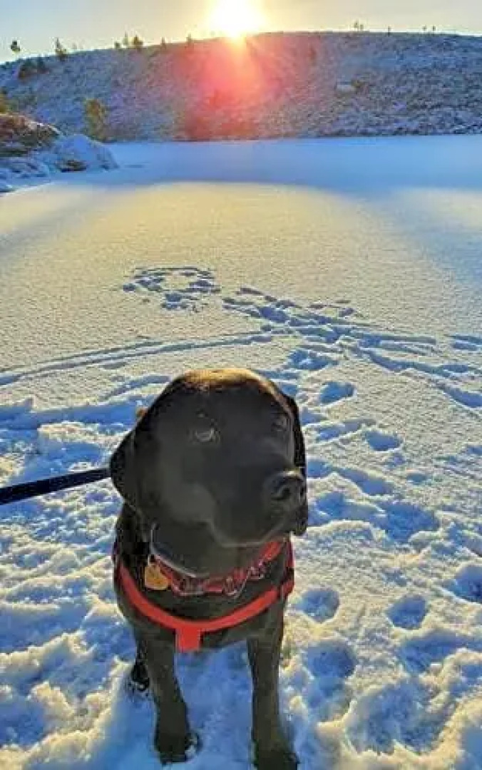 Willie Jack's Cottage B&B, Near NC500